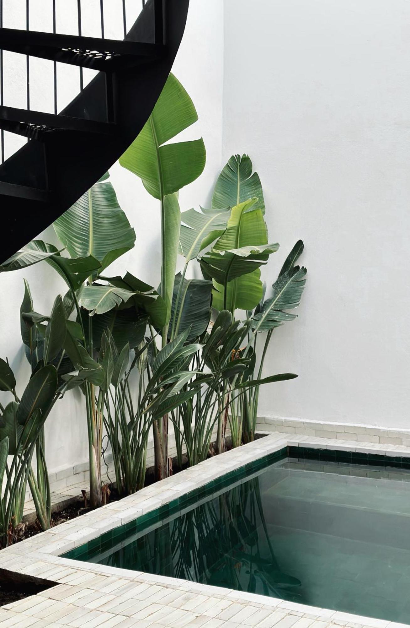 Ferienhaus De L'o With Pool, Rooftop, Free Breakfast *